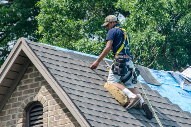 Best Roof Leak Repair  in Monroe, IA