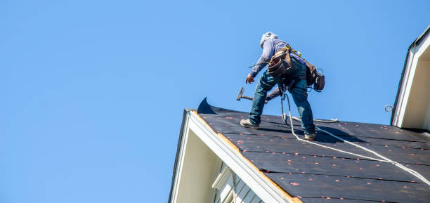 Best Roof Maintenance Services  in Monroe, IA